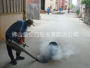 和顺街道消灭蚊虫工程