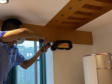 西樵白蚁备案中心防治白蚁找益伦，规范施工彻底根除不反复！